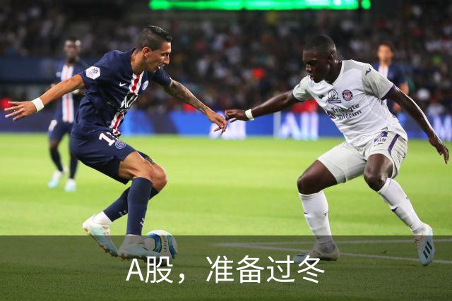 A股，准备过冬